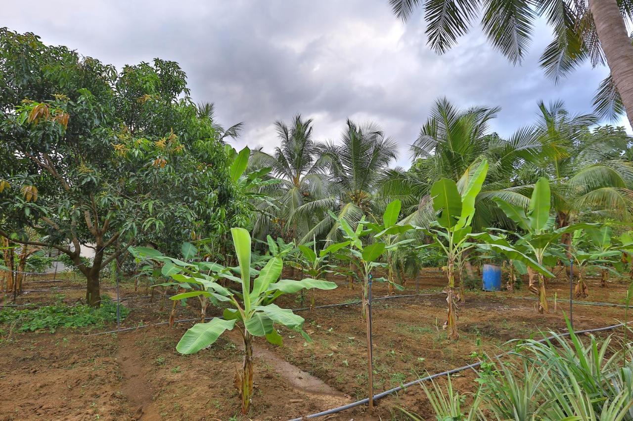 Sayon River Cottage & Eco Garden Monaragala Extérieur photo