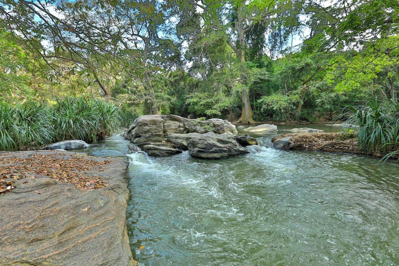 Sayon River Cottage & Eco Garden Monaragala Extérieur photo
