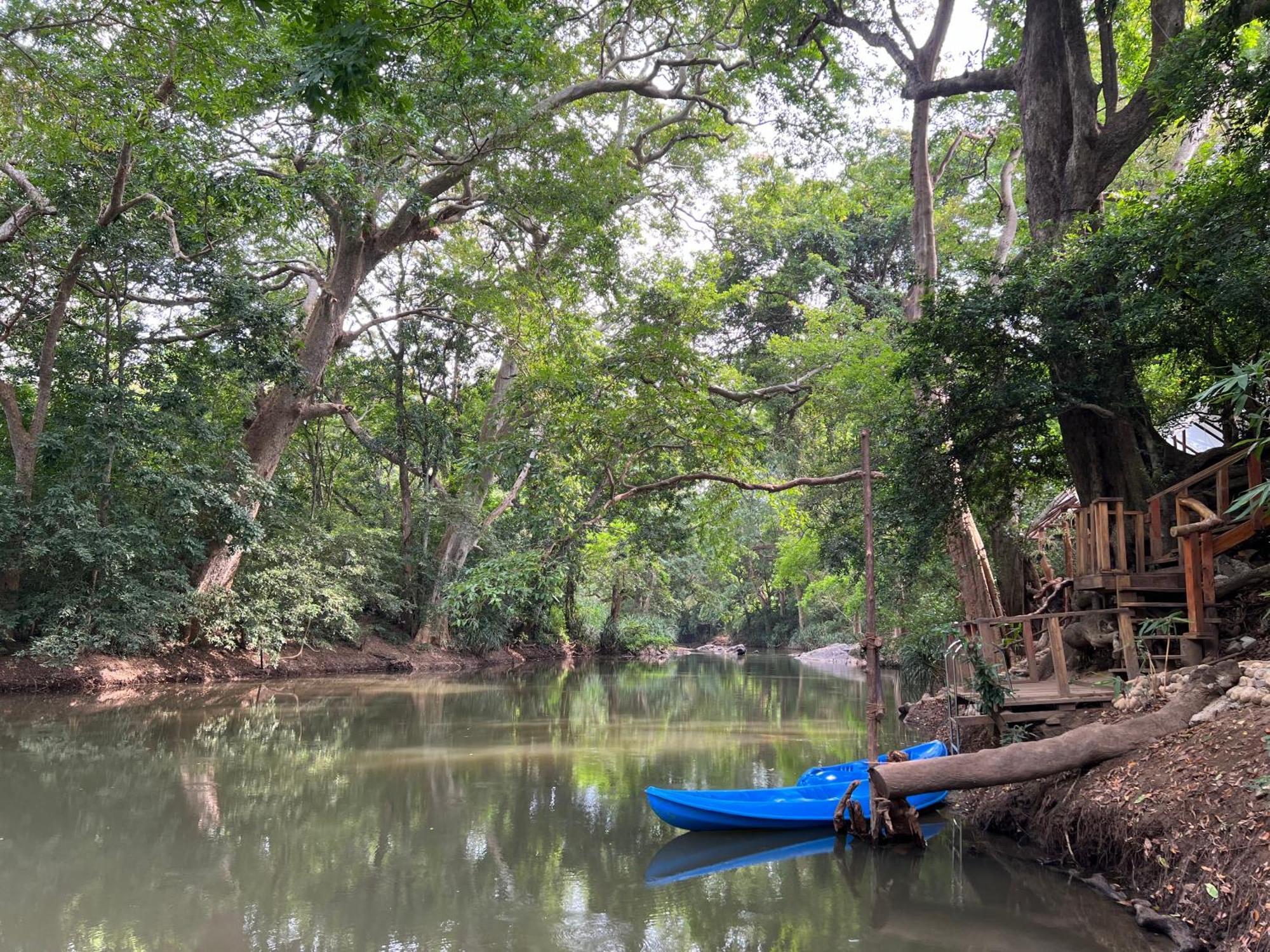 Sayon River Cottage & Eco Garden Monaragala Extérieur photo